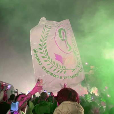 JcalvesDf's profile picture. 