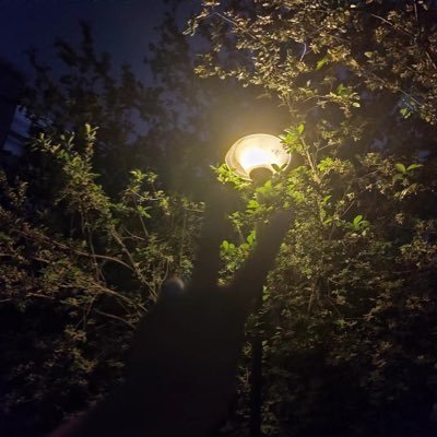 TOM68liu's profile picture. 灵魂契合远比身体链接更加上头