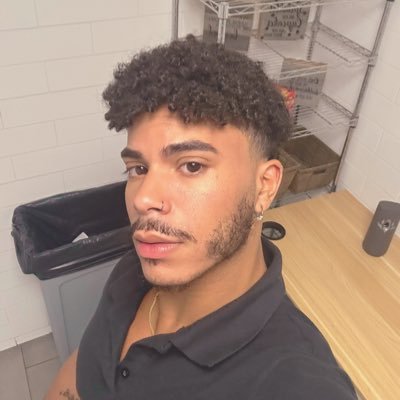parody of a stan acc | i wrestle as @princevalentin0 | these are my only accounts