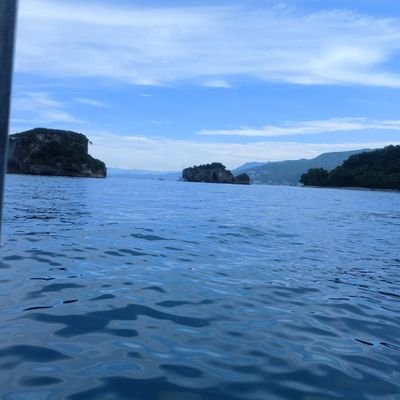 MarcosA86077802's profile picture. 