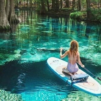 TessWalsh151577's profile picture. 