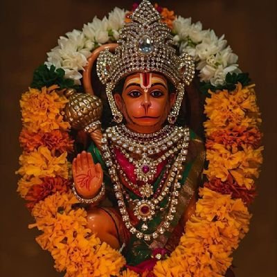 rathor92180's profile picture. Try to learn new things.