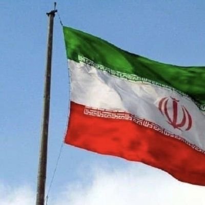 mohsen728252785's profile picture. 