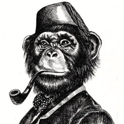 Dealing with the daily stresses of American and Global politics.
Writer for App the State