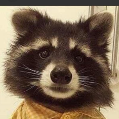 RobertD58419216's profile picture. living life .