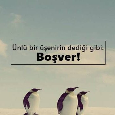 bahattingunes22's profile picture. Her konuda görüş beyan eder. Hesap vermez.