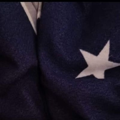 abderrahma87874's profile picture. UFO51 🇩🇿