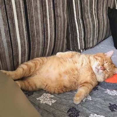 OvechkinMatvei's profile picture. в возрасте. оптимист..