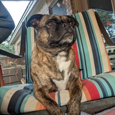 jasonvogel512's profile picture. 