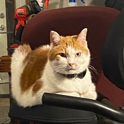 peepeetime12's profile picture. DC
