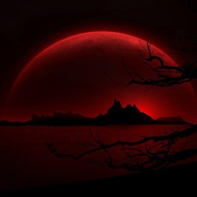 your_developerr's profile picture. Web Applications & Websites                                                         
Every line of code is written with your satisfaction in mind