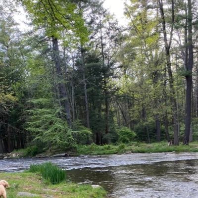 Grisel489's profile picture. 