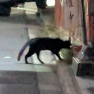 xvpvv's profile picture. fotografías dispersas yo @shintvv