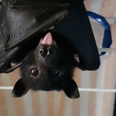 yuki_malakluska's profile picture. 