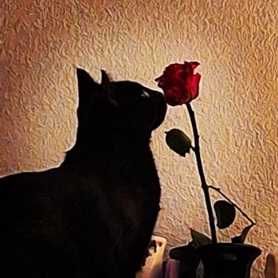 J'aime la musique, le ciné, marcher, nager, lire et commenter ce que je vois à la télé. J'ai repris le sport. J'écris à mes heures perdues... s'il m'en reste !