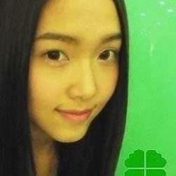 lunawillbekind's profile picture. bugs bugs bugs nature nature nature we love bosque mesofilo de montaña