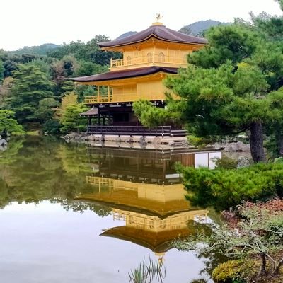 HumphrysOkane's profile picture. 