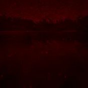 ConsequencesGuy's profile picture. Post about random shit