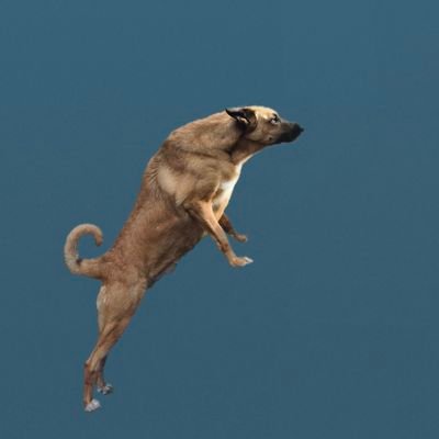 KoitK2go's profile picture. Crypto
