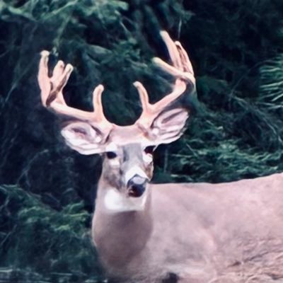 WilliamGib48437's profile picture. ONLY JESUS CAN SAVE US AT THIS POINT