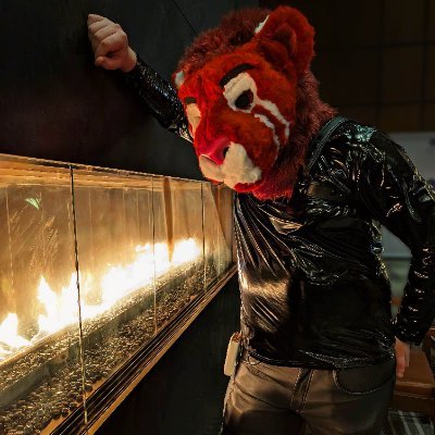AD I 18+ I Nurse I Iowa I Leather I Lion I Furry I Geek I Gaming I Top I Ginger I Tall I ADHD I Growth Mindset I Exploring I 30's I