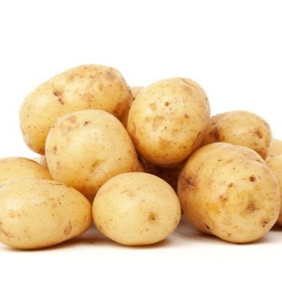 ManBoba14613's profile picture. 