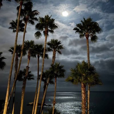 R__alsahli's profile picture. 