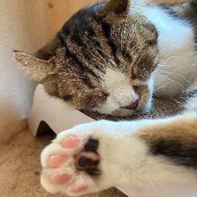 Hr25_Nightcode's profile picture. 