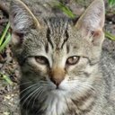 Ione Eisner - @EisnerIone41671 - Twitter