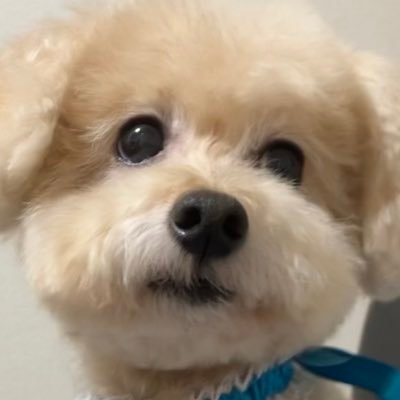 kakurenbo0503's profile picture. サブ垢です　いいね押すだけ 無言フォロー失礼します DM無反応