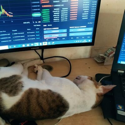 itil_sia's profile picture. 