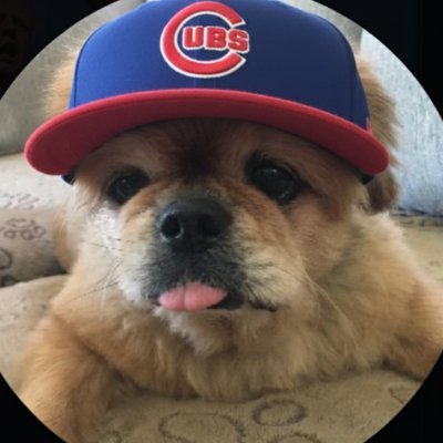 Trump/Vance2024 #AmericaFirst
More #MAGA than ever before!
SoCal now but Chgo at heart
#GoCubsGo #BeHereForIt
#DaBears #Bulls #Blackhawks🏒