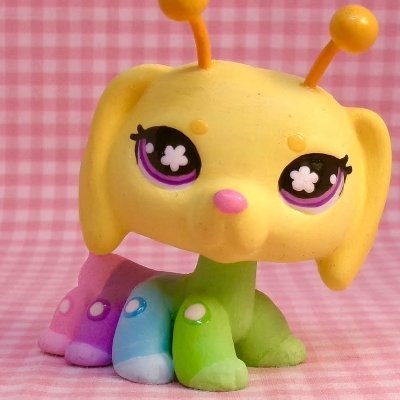 i love my wife 🩷 #youngandfree 🍀 2wenty 🍭 i like to dilly dally 🐩 chiwawa best dog 🎀👑 journalism student ⛅️ cub/feral nsfw and snowflakes dni 🕴 #darkwoke