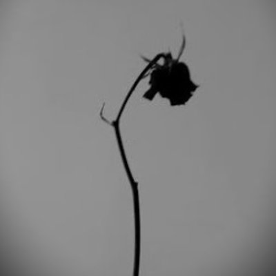 mrkangeloamdr's profile picture. 🖤 |🎙🎸🎶 | ✒🎨 | 🎮 | 🏍️ |  📈        
Crypto Airdrop Hunter | Web3 | Forex | Musician | Graphic Artist | Gamer | Rider | Trader | Projects Contributor 🙋‍♂️