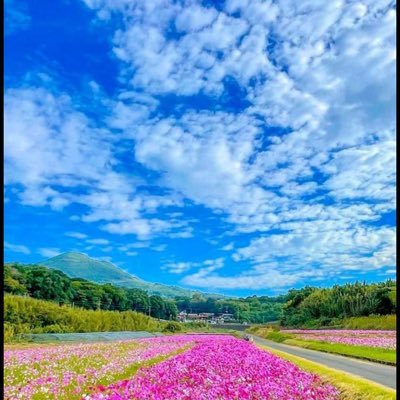 yysawagou0119's profile picture. 誠真会よしりん、龍生会どらえもんを応援します。移民絶対反対、通名禁止、太陽光パネル反対、SDGSの嘘、WHO脱退、ワクワク反対、上げればキリがない程自公維新の政治に怒りが沸きます。