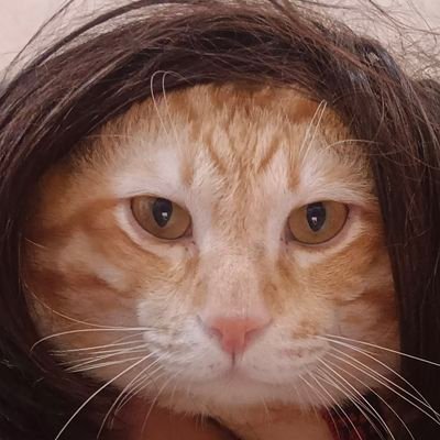 momoarale's profile picture. 