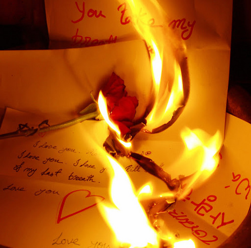 FireStormWolf's profile picture. Any sluts whom friend this page will be blocked and or reported for trying to have sexual conduct