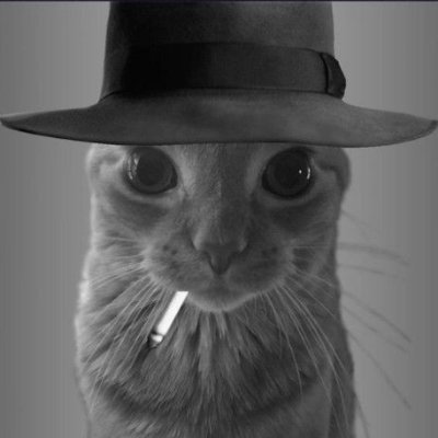 naluc12's profile picture. gamer 19y
#GoRed
Never Give Up

sfc 🤍🖤