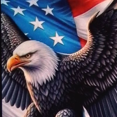 Married Army Veteran America 1st MAGA Always No CRYPTO !!!!!