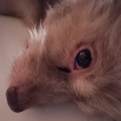 andiebrettdanae's profile picture. 25, she/her