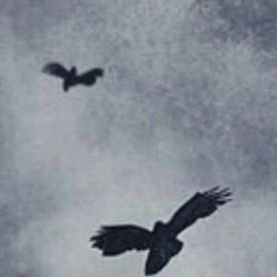 A028393's profile picture. X