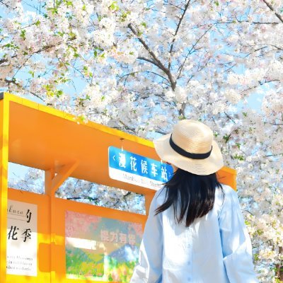 NekoKoiA's profile picture. 💮次また日本に行けるのを楽しみにしています。そして日本語も少しでも上達したいです。🤗人と話す時はいつもジェスチャー＋翻訳で、重度の人見知りの私には本当に大変です😶‍🌫️
