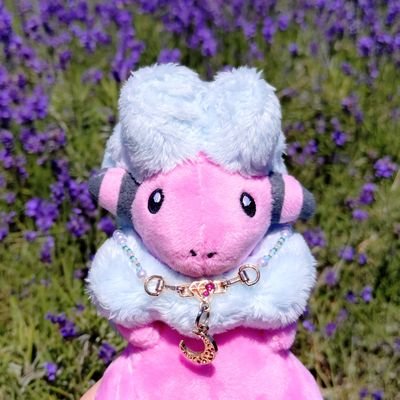マヤさんのプロフィール画像