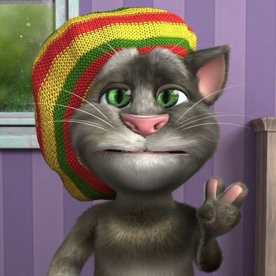 thaisquizofren's profile picture. sou amargurada. odeio tudo e todos, tudo me irrita