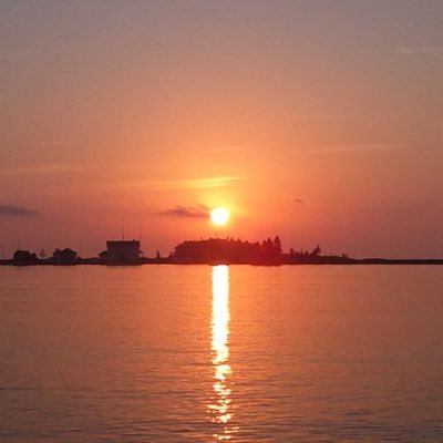 Feel_It_Still_'s profile picture. Terms and Conditions