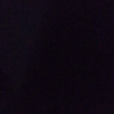 tuculo_miculo's profile picture. 