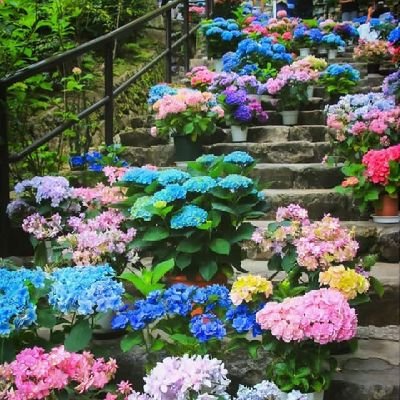 Akihiko73779's profile picture. 千里の道も勇気ある一歩から始まる👣
世界を旅するのが大好きです🌎