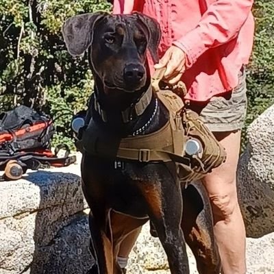 GCracker0's profile picture. USMC Vet, Conservative GenXr.  Happily Married 31 yrs. Just your average Nobody. Plz no DMs