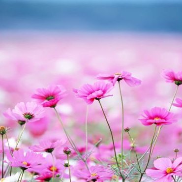 Jackcfmson's profile picture. Tell me and I forget, teach me and I may remember, involve me and I learn.