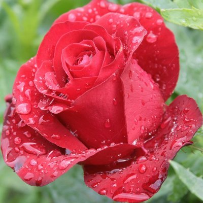 Camrbvurton's profile picture. In life you'll realize that there is a purpose for every person you meet. Some will teach you, and some will bring out the best in you.